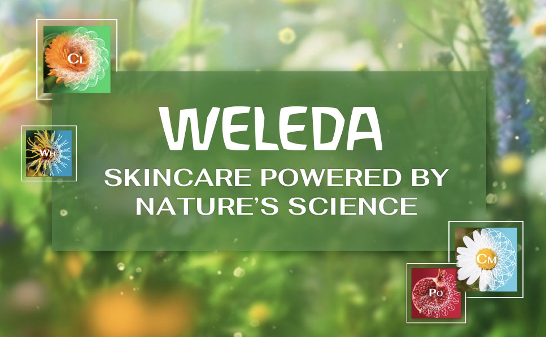 Weleda Harnessing The Power of Nature's Science